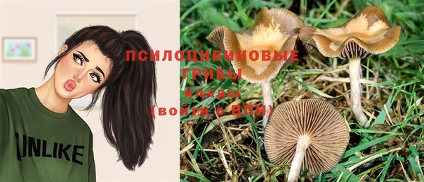 PSILOCYBIN Баксан